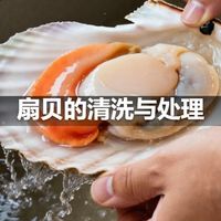 扇贝的清洗与处理