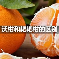 沃柑和耙耙柑的区别