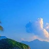 血脂高怎么选?海豹油品牌实测对比,天然EPA+DPA成分,辅助降脂