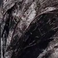 准妈妈掉发别乱囤防脱洗发水，这几款洗发水性价比怀孕期间这样看
