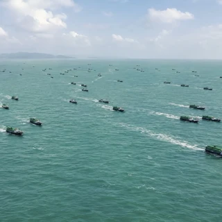 南海8月16日开渔：往年皮皮虾开渔半月从70元/斤跌到100元4斤，但最便宜的时点不是第一波