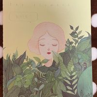 挖到宝了!这本封面的温柔感,我能看一整天