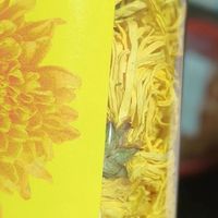 |熬夜党刚需|清肝降火!打工人续命菊花茶