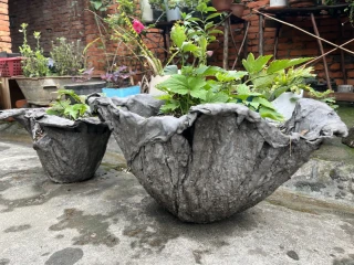 旧手套水泥花盆又火了，但先别急着种：脱模只算完成一半，另一半教程里没人教