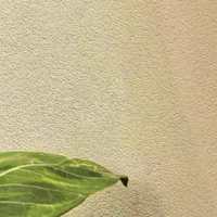 新房装修首选！全生堂0甲醛告别通风等待