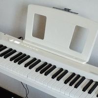 折叠电钢琴不是玩具！特伦斯V30Pro到V70pro全对比