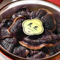 灵芝哪个牌子品质高？真实口碑盘点，十大宝藏灵芝品牌合集