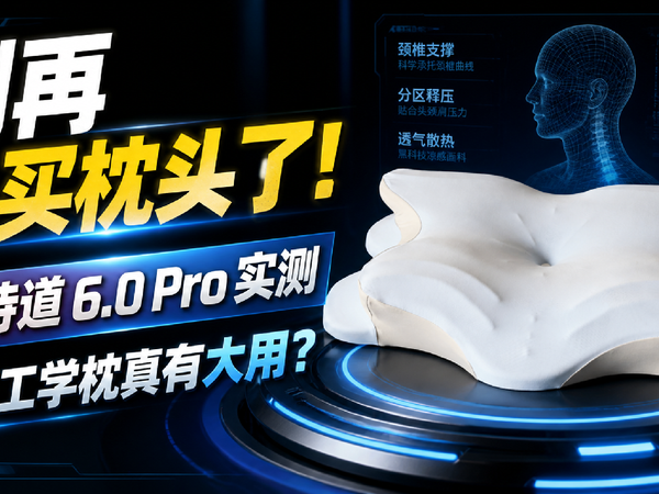 别再乱买枕头了！莱诗道 6.0 Pro 实测，科学分区真的有大用？