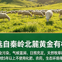 2026儿童营养消费调研：儿童羊奶粉选什么品牌靠谱？合规款盘点