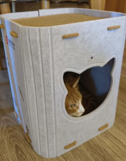 值得买毛毡猫窝试睡体验
