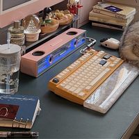 一半人嘲3699是logo税，一半人抢三百元歌词屏：桌搭第一台音箱，先把钱分成三笔