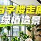 阳台苔藓与低养护办公绿植 | 绿植造景8.14日报