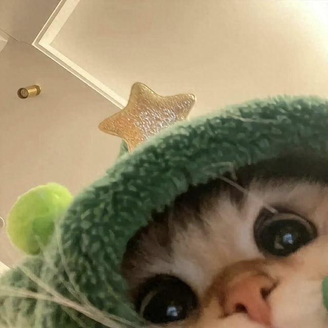 别再被粗蛋白数字骗了！猫粮真正该看的是这个指标，区别大了去了