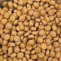 新手养猫第一袋粮|全阶段三文鱼配方闭眼入不踩雷!