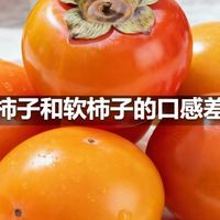 脆柿子和软柿子的口感差异