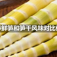 竹笋鲜笋和笋干风味对比做法