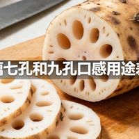 莲藕七孔和九孔口感用途差别