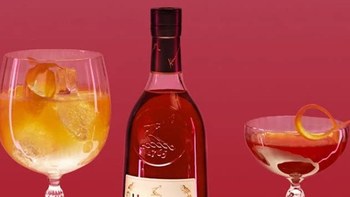 中秋送礼酒推荐，焕新上市轩尼诗VSOP干邑白兰地700ml礼盒