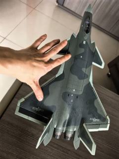 今夏入坑军事玩模：歼-20合金模型