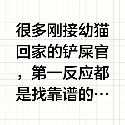幼猫猫粮品牌哪家好？新手养幼猫选粮看这篇就够