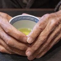 中老年人关注记忆力养护,吃什么保健品前我会先看这些证书资质