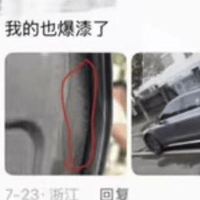奇瑞风云A9L被曝集中爆漆，数百名车主维权