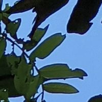 净水器换芯太贵找适合主流净水器的靠谱平替滤芯实测三年省出新机


