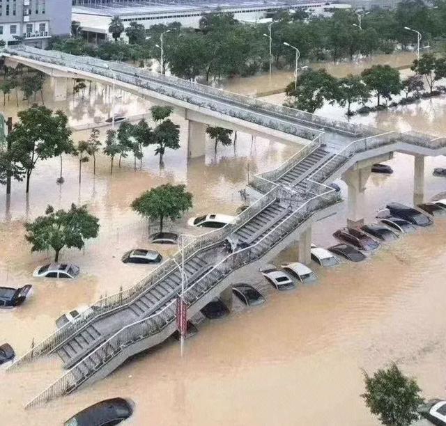 白海豚泡上万台车，多数没去报废场：9—10月买二手车，先查这3份记录