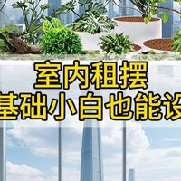 桌面水景与阳台花园 | 绿植造景8.15日报