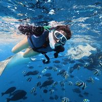 浮潜避坑、长线打包 | 海岛度假8.15日报