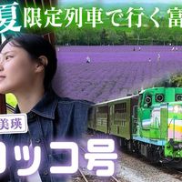 暑运增开、卧铺风景线 | 火车旅行8.15日报