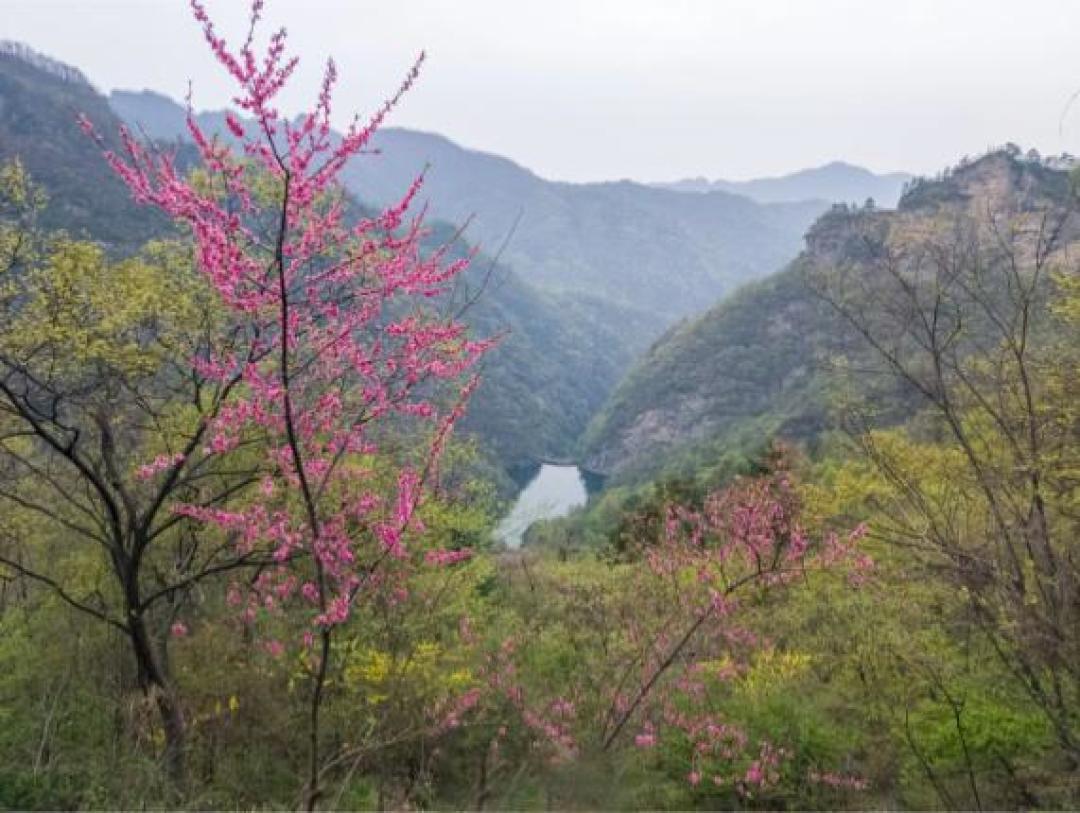 风雨过后见仙山!武当山全域恢复开放,高铁直达更便捷