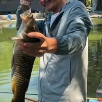 花3块冰淇淋就能钓鱼？水产专家：别害鱼了