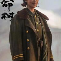 金鹰奖规则大变！流量失灵、演技为王，这次谁才是真正的视后？