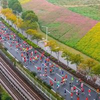 马拉松中签率跌破10%,我扒完规则发现:不是输在运气,是没搞懂名额分配那套玩法