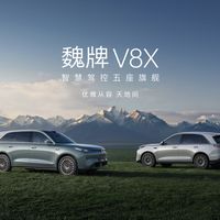 10万级纯电SUV又来卷王？轴距2775mm配主副驾双按摩座椅