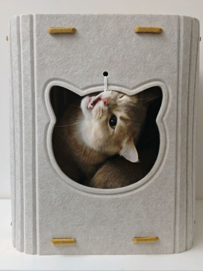 网易严选猫咪干粮