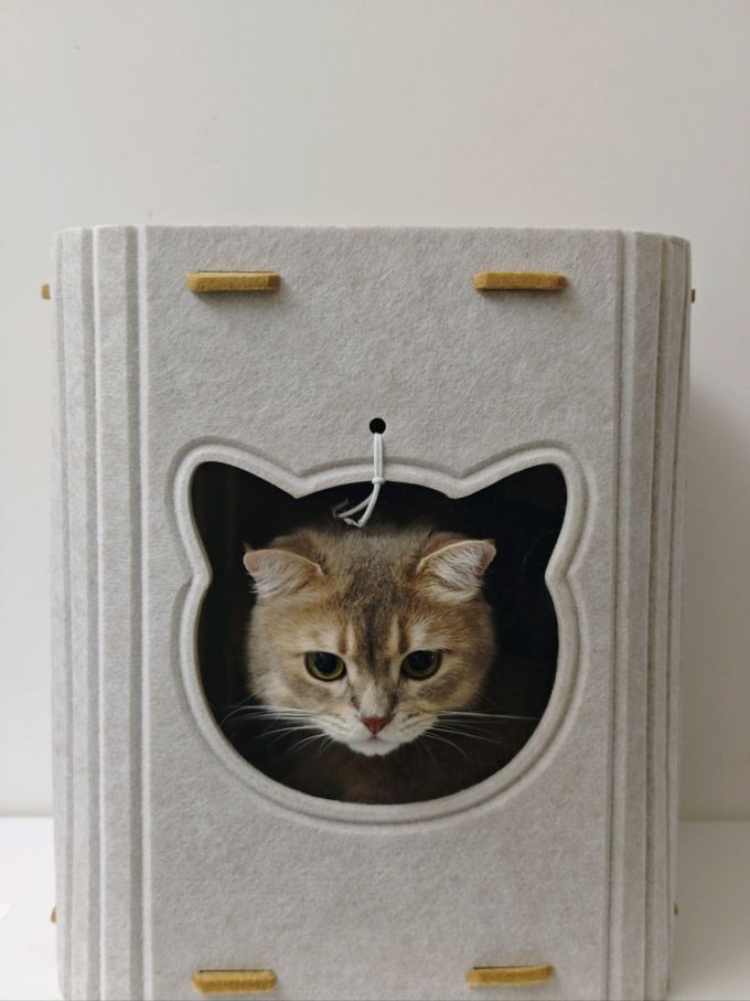 网易严选猫咪干粮