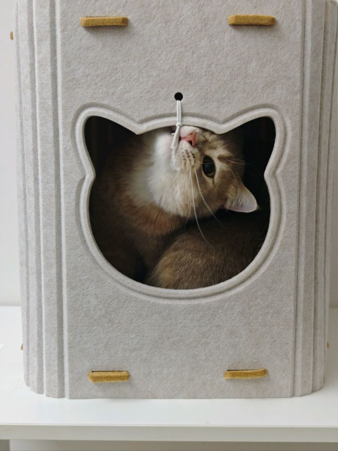 网易严选猫咪干粮