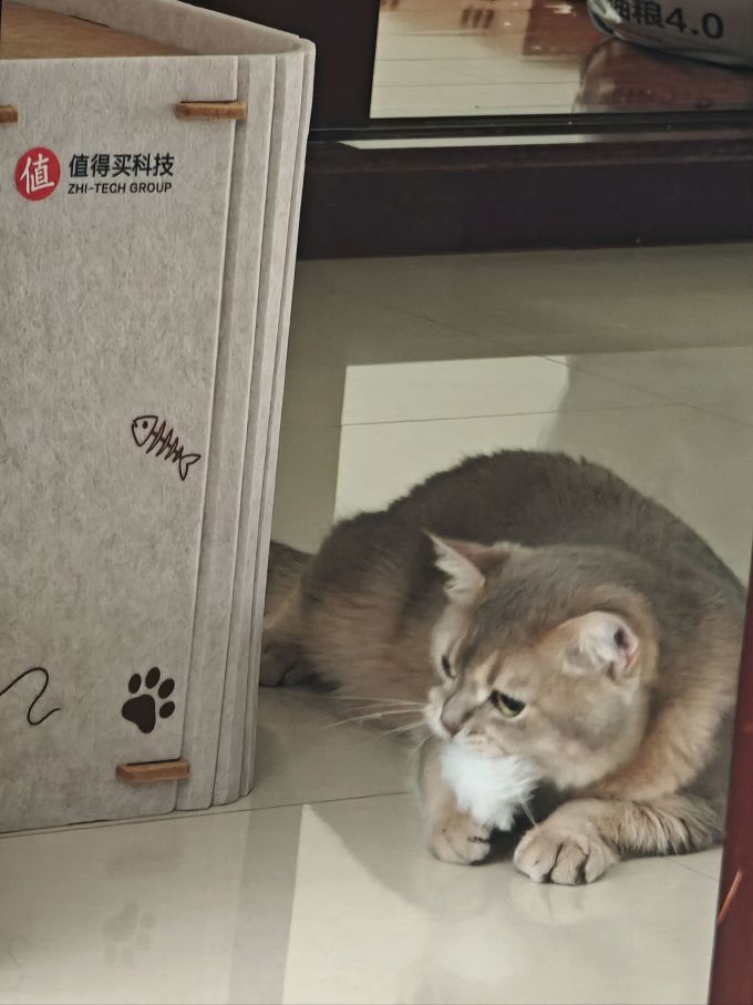 网易严选猫咪干粮