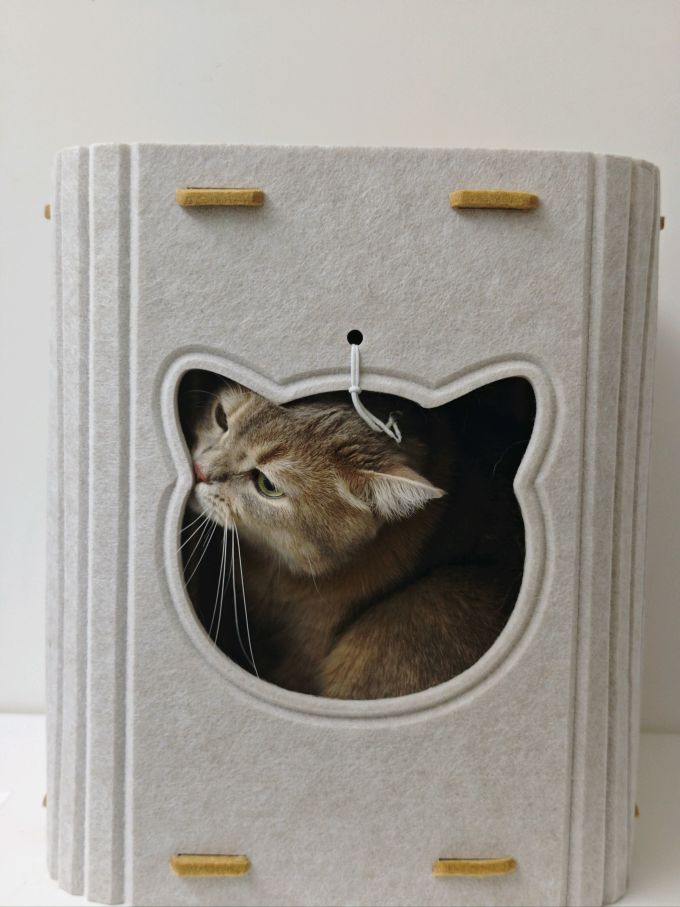 网易严选猫咪干粮