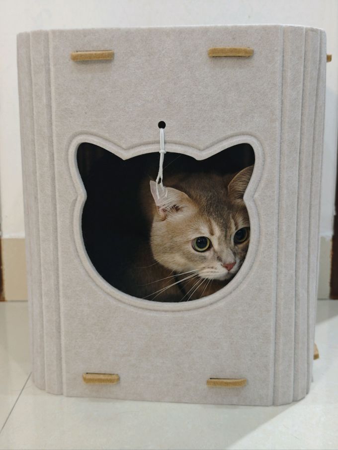 网易严选猫咪干粮