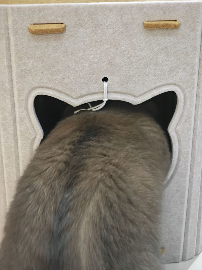 网易严选猫咪干粮