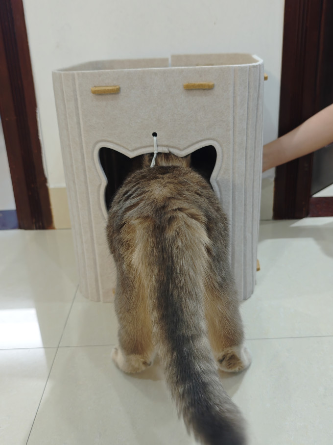 网易严选猫咪干粮