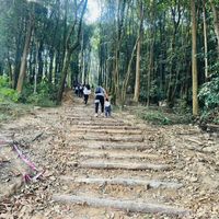 亲子Citywalk到底有多坑：3岁娃走800米就崩，这些血泪经验帮你避雷