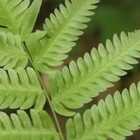 口粮茶性价比实测：3个品牌拉平价格与口感差异