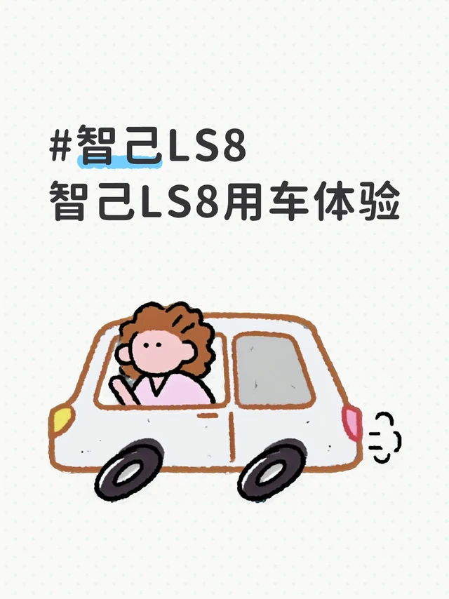 #智己LS8智己LS8用车体验