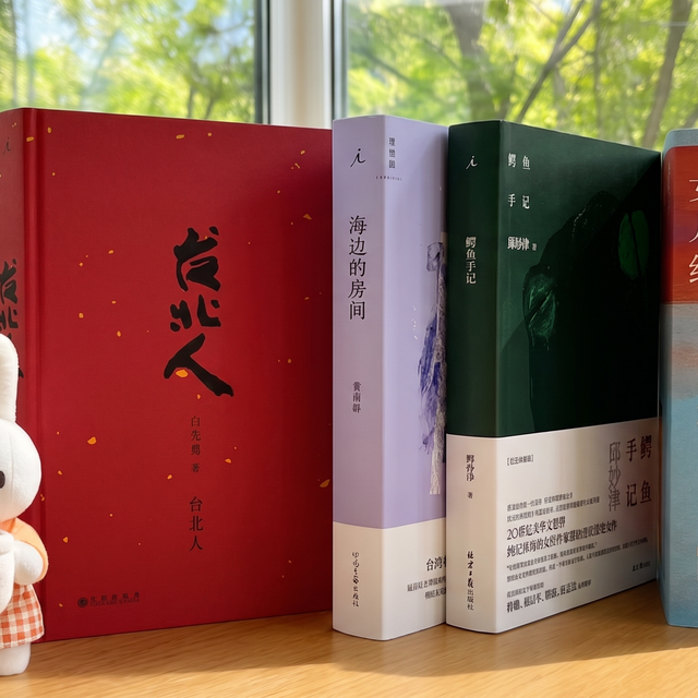 为什么南方书迷都喜欢看台湾文学？