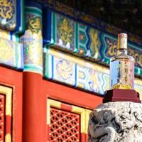 水井坊井台从五百多跌到两百出头，“暴跌性价比逆天”刷屏——现在买是捡漏还是接飞刀？