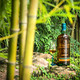 苏格登12年跌进口粮酒区间：捡漏之前，先搞清楚你手里这瓶出自哪家酒厂